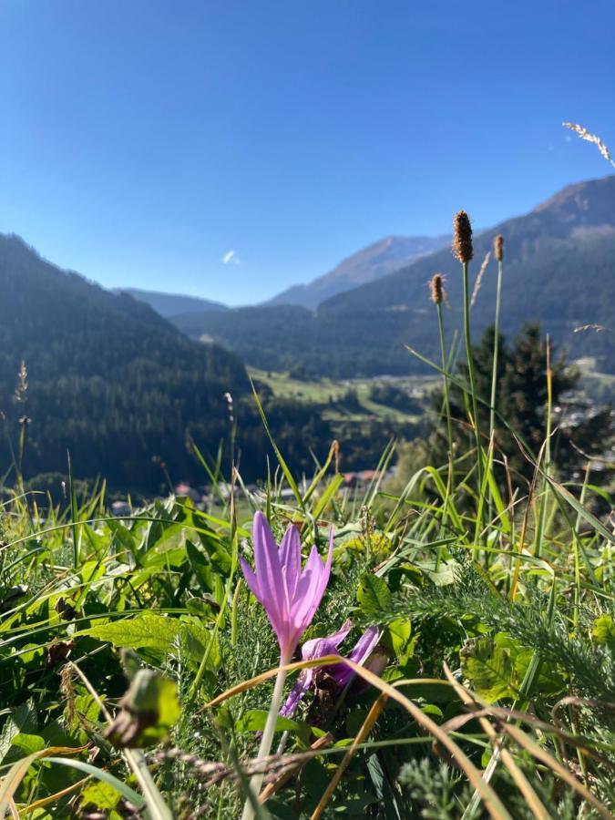Fewo Gotschna Haus Bargis Klosters Zewnętrze zdjęcie